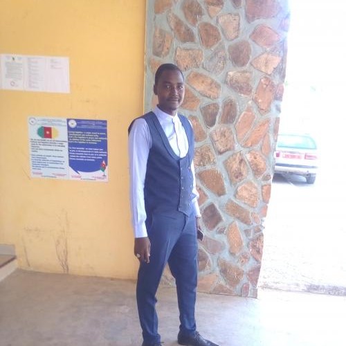 Ordre public et libertés publiques à l'épreuve de la crise sécuritaire au Cameroun. Par Youssoufa Yaya, Doctorant.