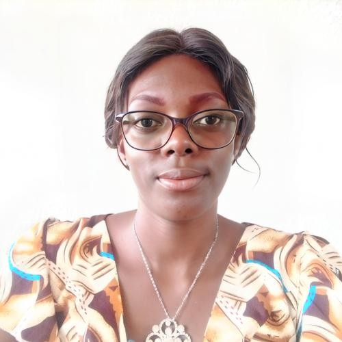 Une possible revitalisation de la commission internationale humanitaire d'établissement des faits. Par Emah Ngono Line Murielle, Doctorante.