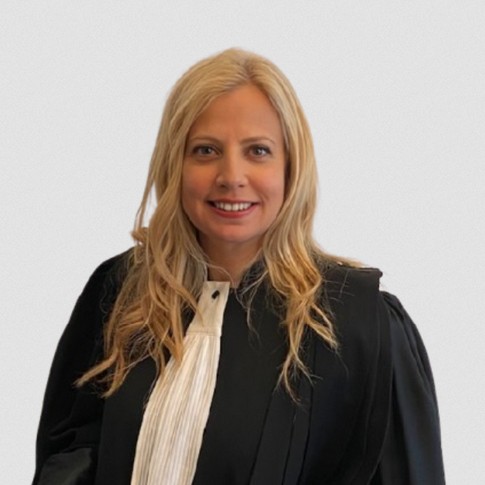 Les procédures judiciaires relatives au vice caché en matière immobilière. Par Séverine Rosenberg, Avocat.