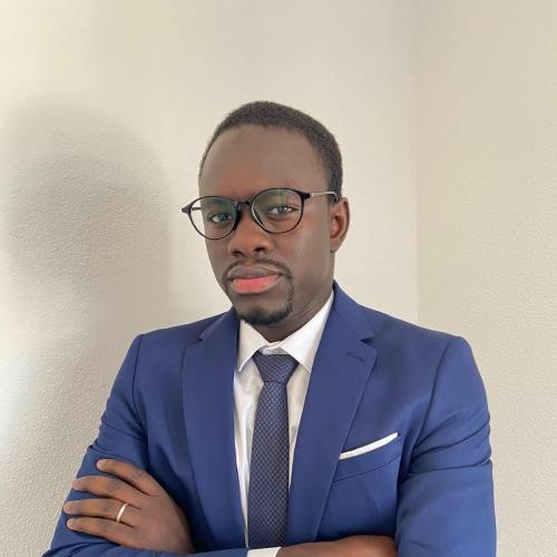 Regard candide sur le nouveau statut de l'entrepreneur individuel. Par Adame Sene, Juriste. 