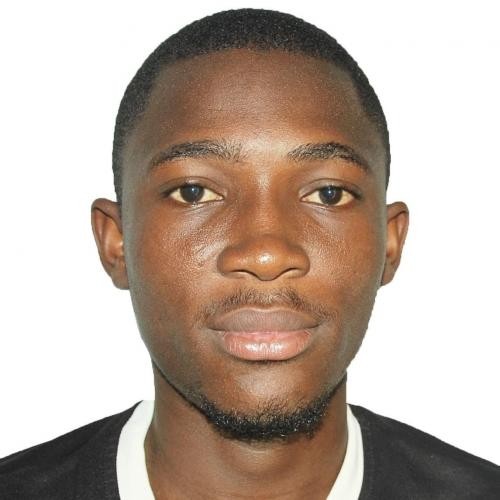 Les ordonnances de l'article 112 de la Constitution ivoirienne. Par Bamba Nonféni Michel Zarationon, Etudiant.